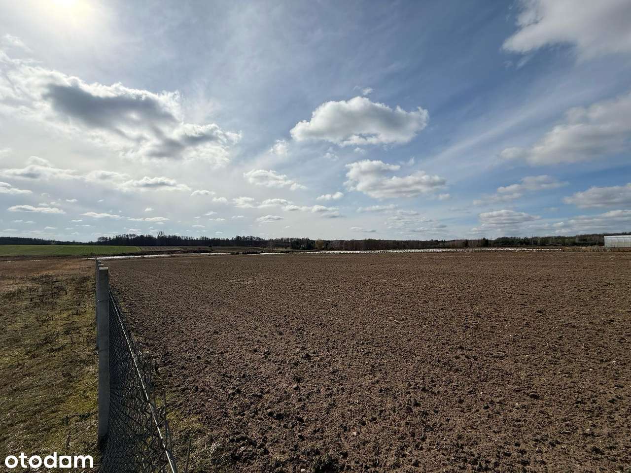 Okazja! Działka Wola Pękoszewska 25zł/m2 - Pełny obrazek: 5/15