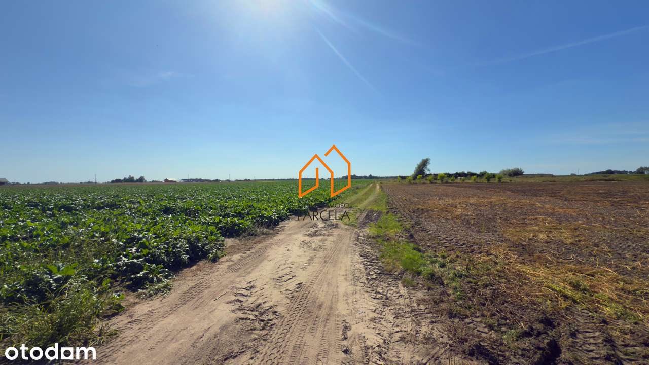 Działka pow. 8735 m2 - Rusiborek. - Pełny obrazek: 5/7