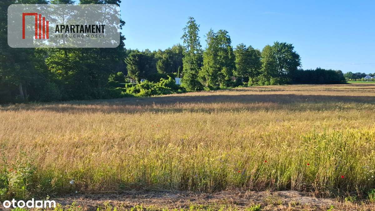 Działka pod budowę domu niedaleko jeziora - Pełny obrazek: 2/3