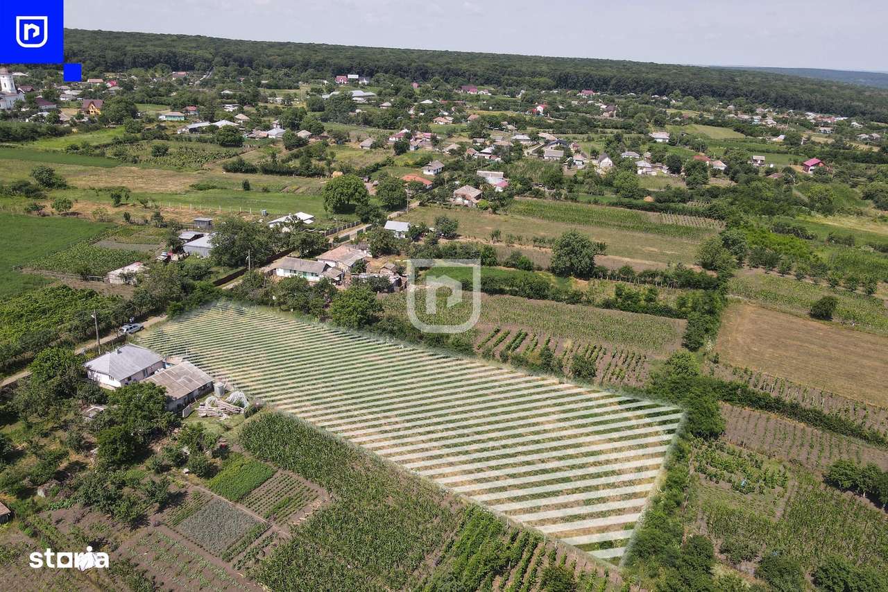 Teren - Ionășeni | BOTOȘANI | 3.285mp - Imagine principală: 3/8