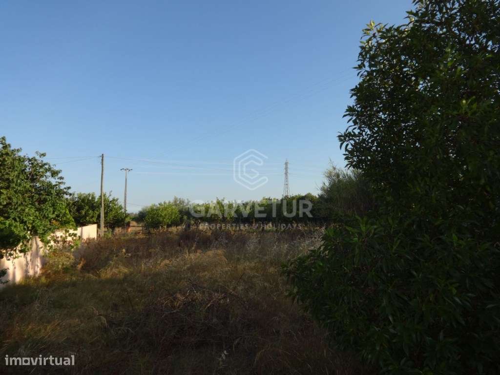Terreno com viabilidade para construção de moradia, Faro, Algarve - Grande imagem: 4/14