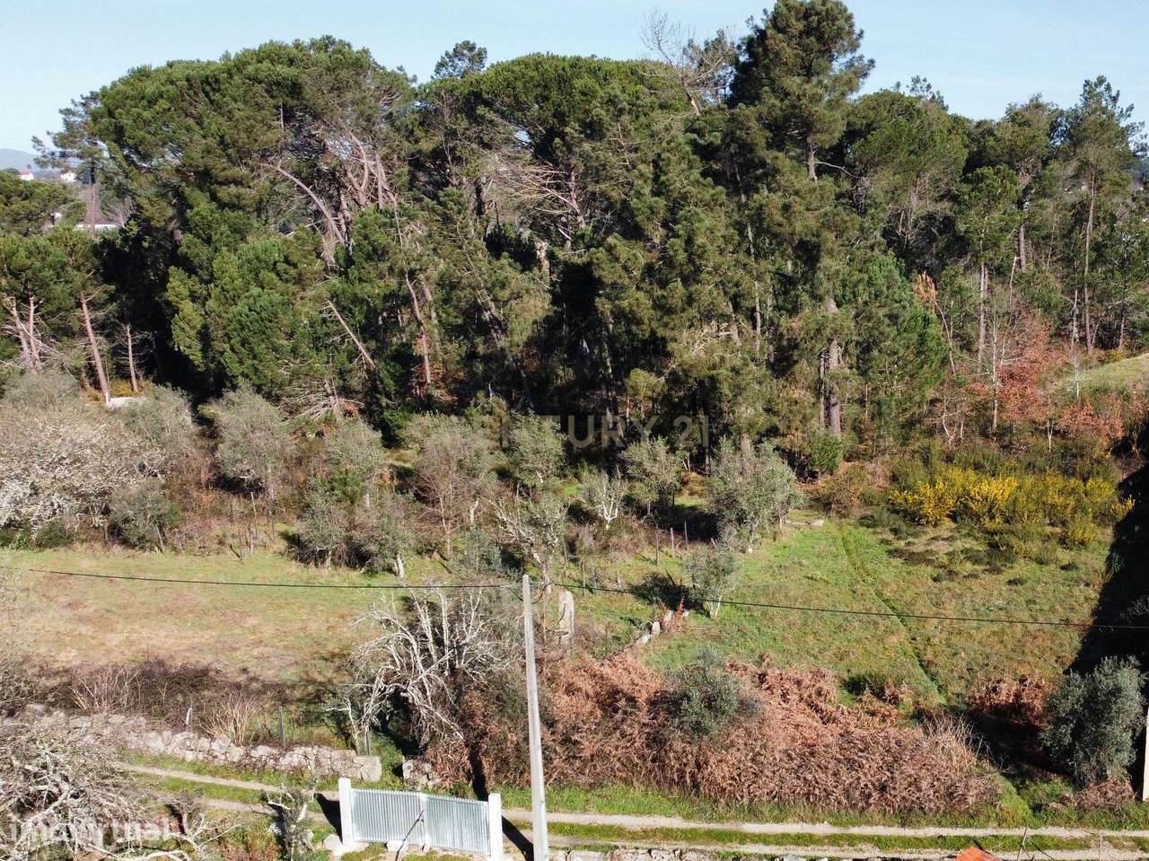 Terreno Rústico - Grande imagem: 3/5