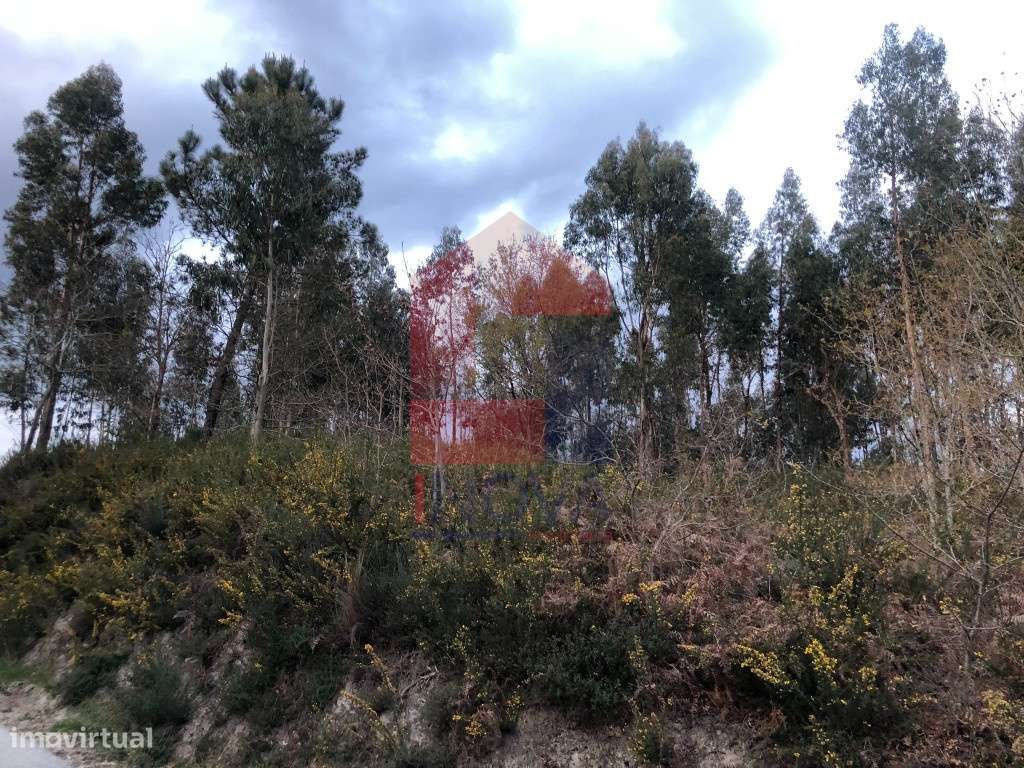 Terreno Industrial, Vilarinho - Grande imagem: 5/7