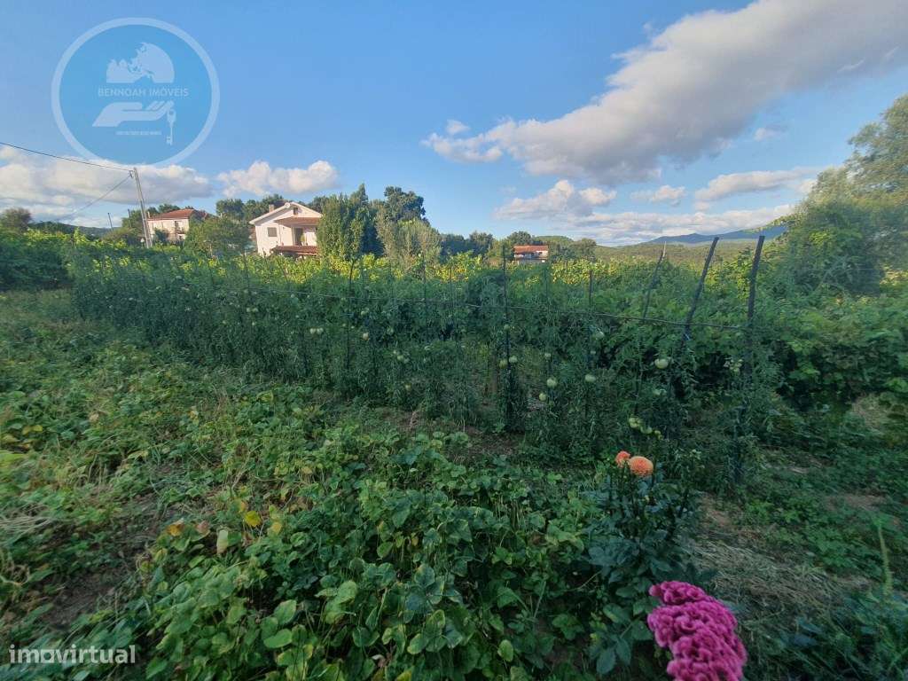 Quintinha à venda- Arco de Baúlhe-31