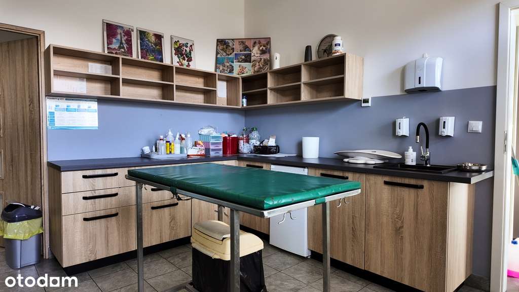 Wolnostojący budynek usługowy w atrakcyjnej lokali-3