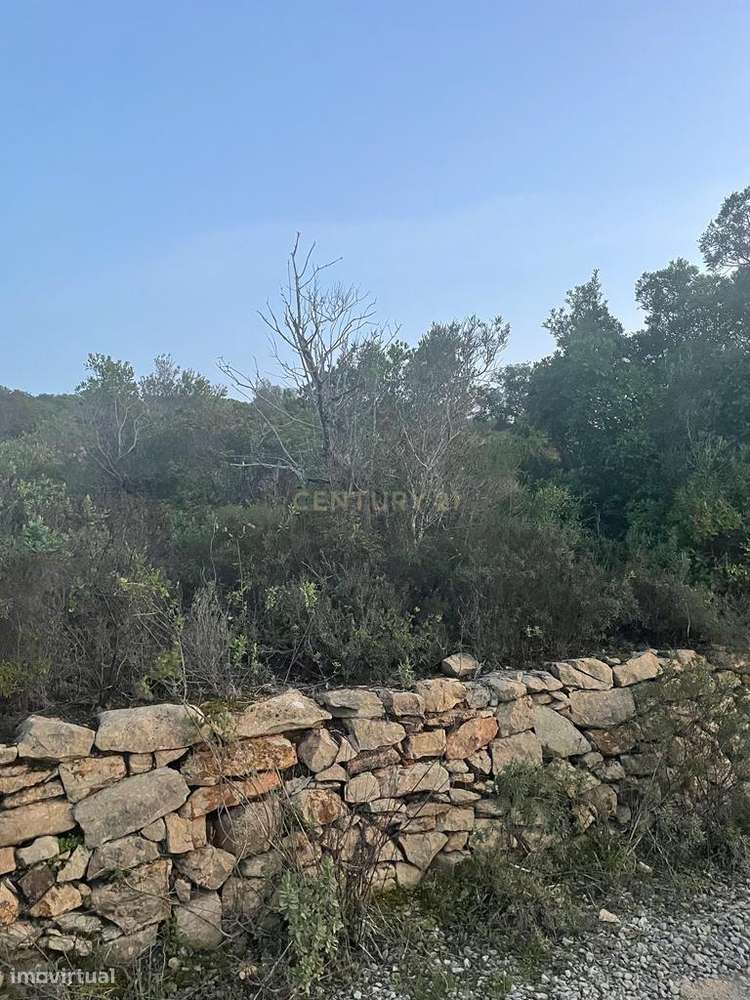 Terreno rústico de 6.120 m2 no Algarve - Grande imagem: 4/6
