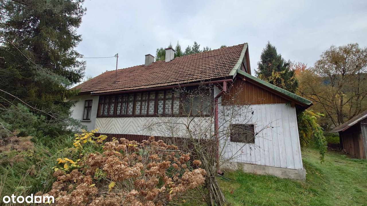 Lanckorona dom z duszą drewniany cisza spokój las - Pełny obrazek: 4/20