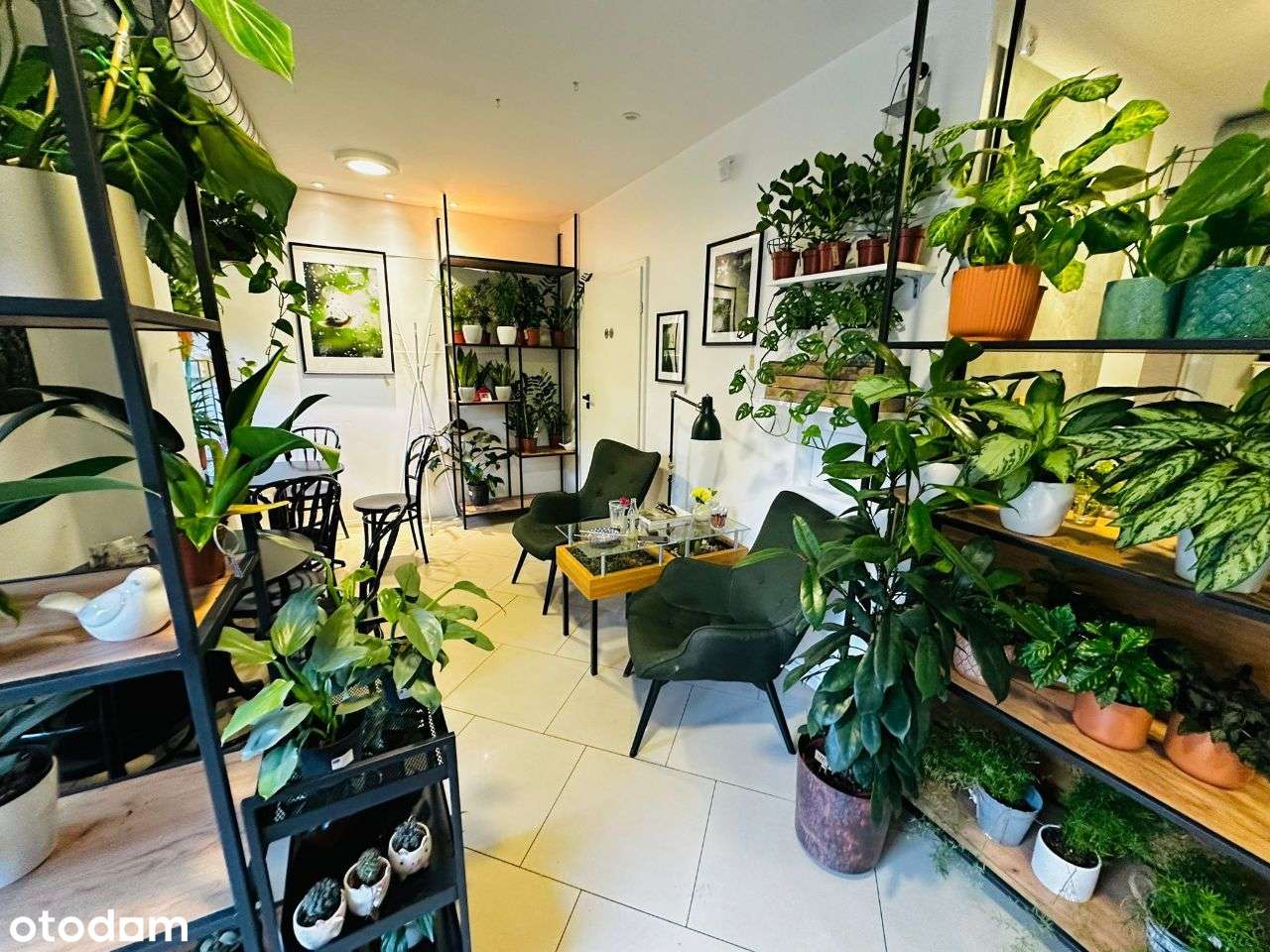 Nowoczesny lokal w centrum Katowic Mickiewicza - Pełny obrazek: 5/20