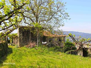 Propriedade Centenária - Vista panorâmica