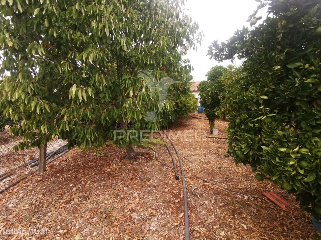 Casa Rustica Antiga - Grande imagem: 5/39