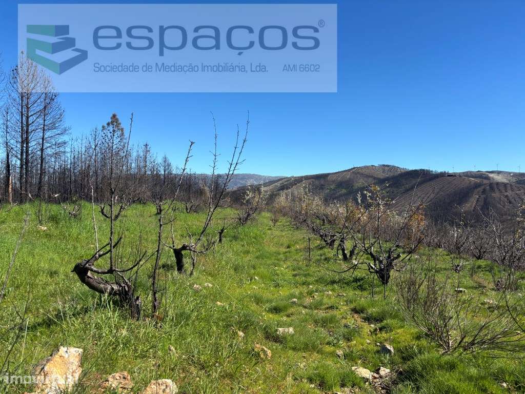 Terreno - Grande imagem: 2/25