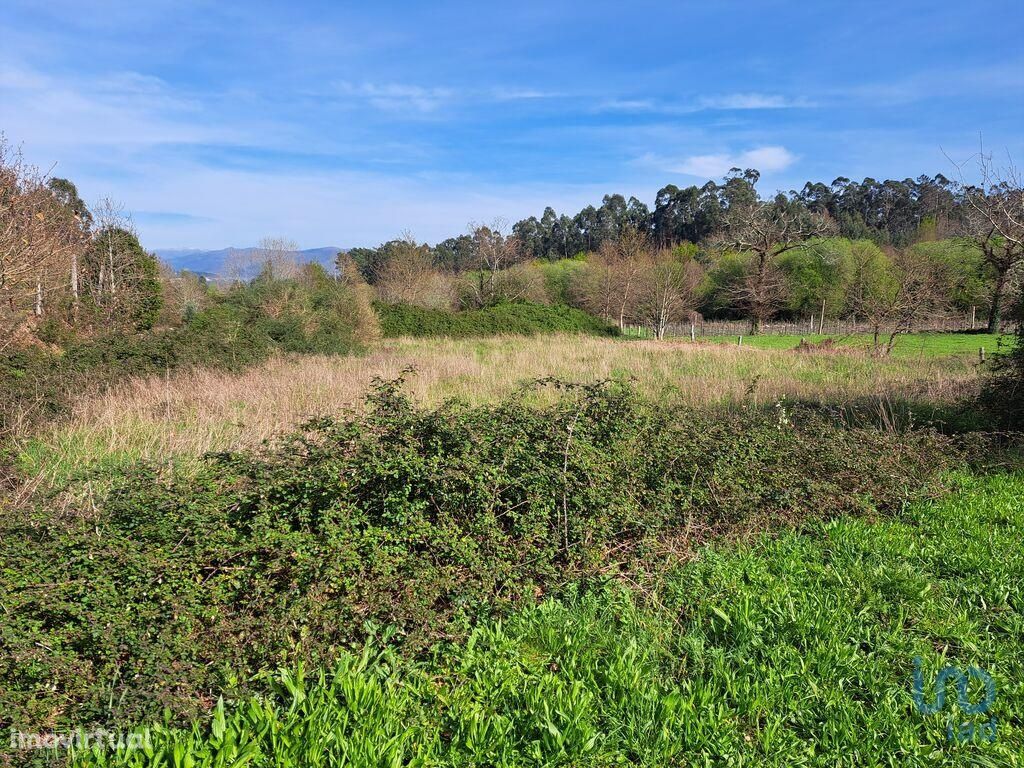 Terreno Agrícola em Braga de 1354,00 m2