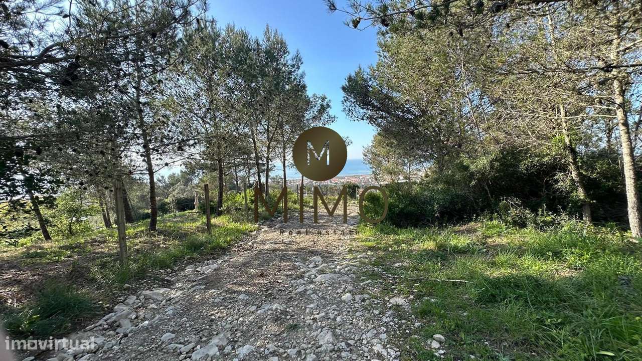 Terreno Para Venda na Murtinheira-19