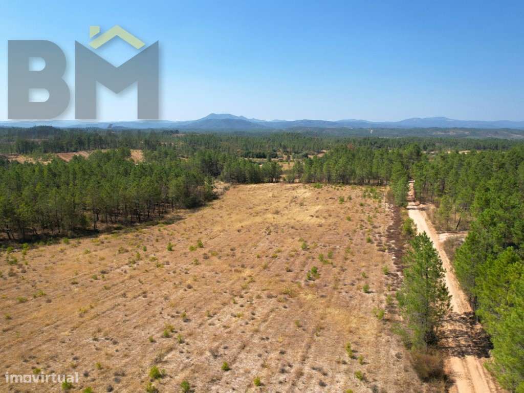 Oportunidade de Investimento - 2 Terrenos Rústicos - Grande imagem: 3/12