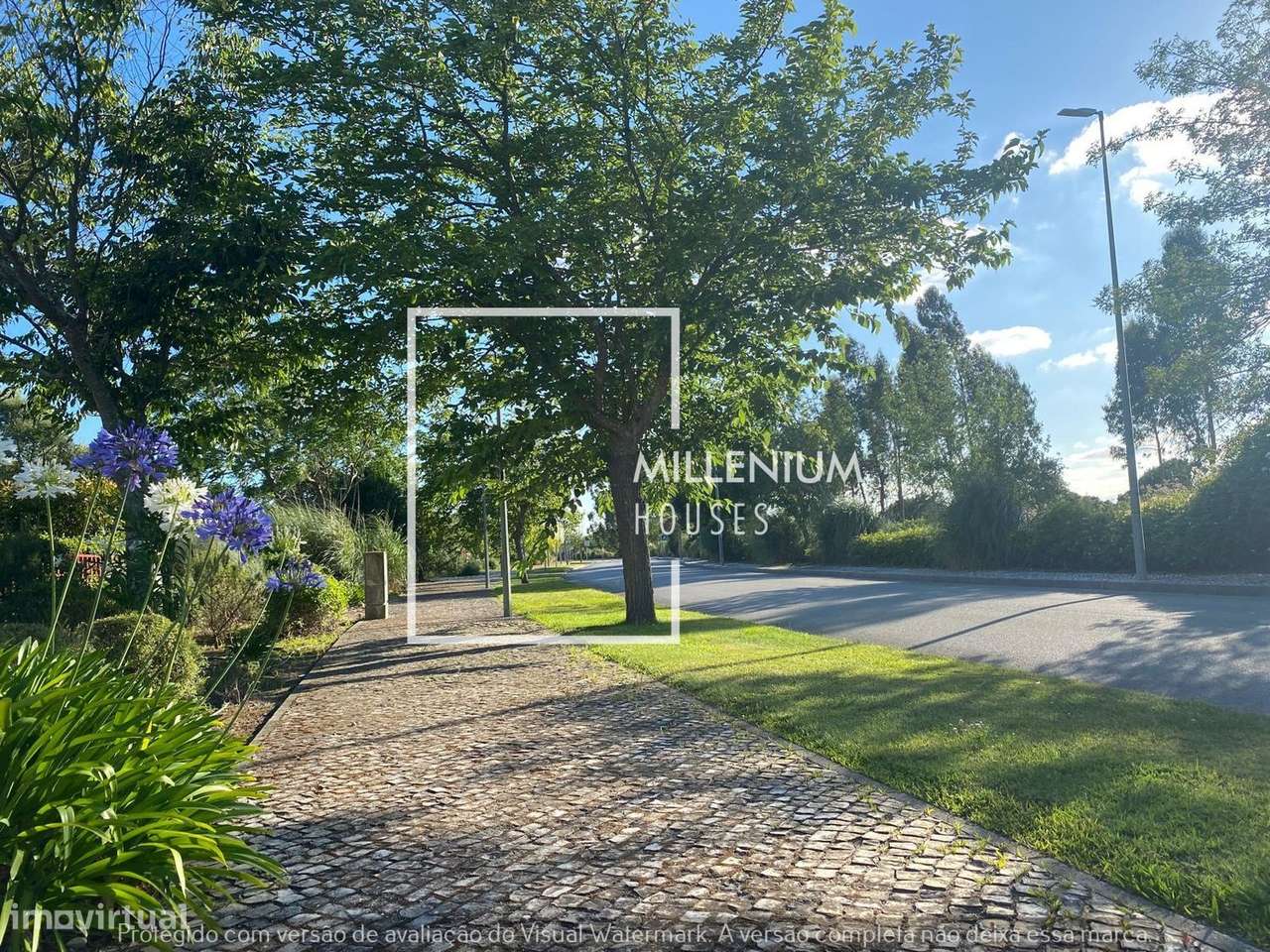 Terreno com Projeto Exclusivo | Vila Nova de Santo Estevão | BNV-25