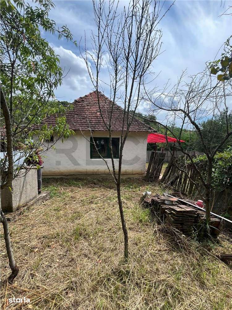 RECO Casa batraneasca cu teren generos la Lupoaia -Holod - Imagine principală: 2/20