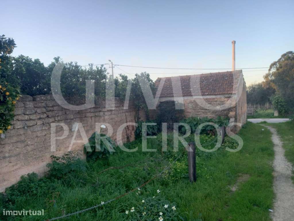 Moradia para reabilitar-21