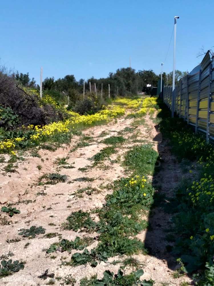 Lote de Terreno Rustico-9