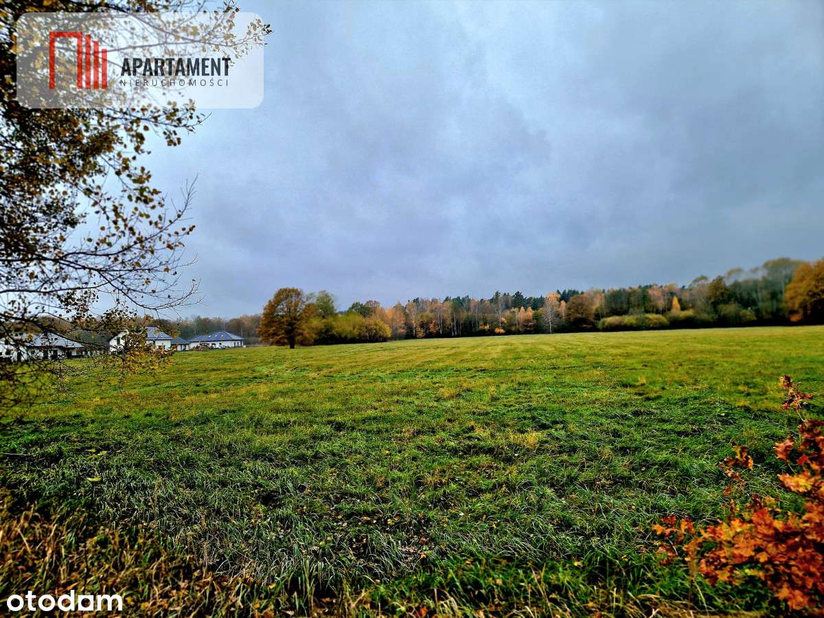 Działka inwestycyjna/ Raszówka - Pełny obrazek: 4/7