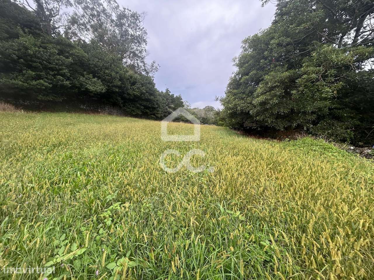 Terreno com 2.400,00m2 - Rosto do Cão(Livramento) - Ponta Delgada - Grande imagem: 5/10