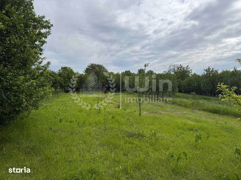 Teren intravilan cu casa renovabila | 2500mp teren | Front 21m | Aiton - Imagine principală: 3/6