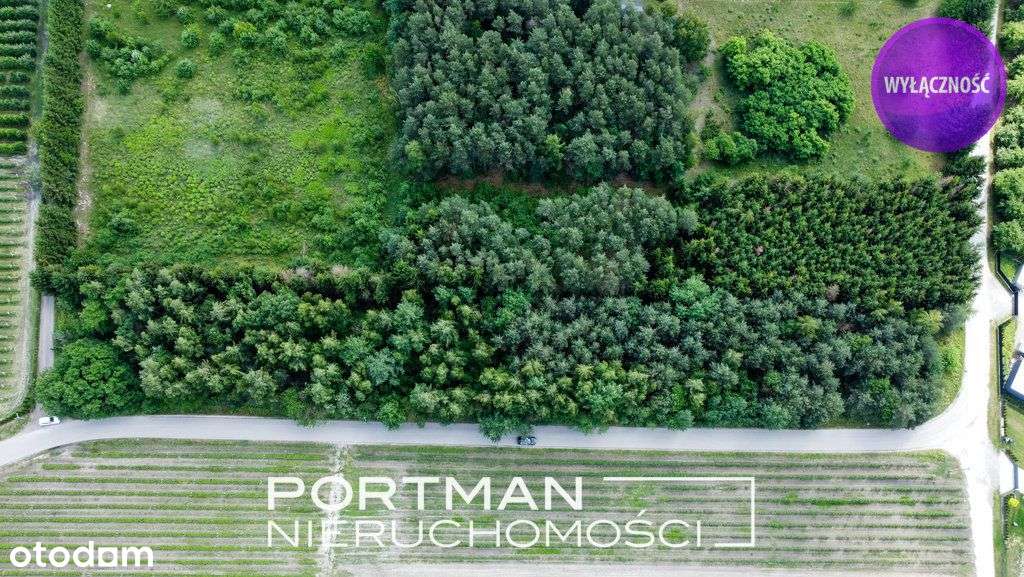 Działka budowlana 1100m2, Sprzedaż, Mpzp - Pełny obrazek: 5/11