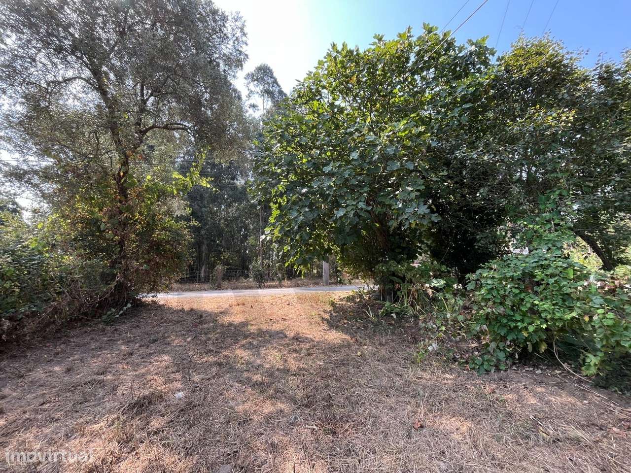 Terreno para construção de moradia unifamiliar em Cacia - Grande imagem: 3/7