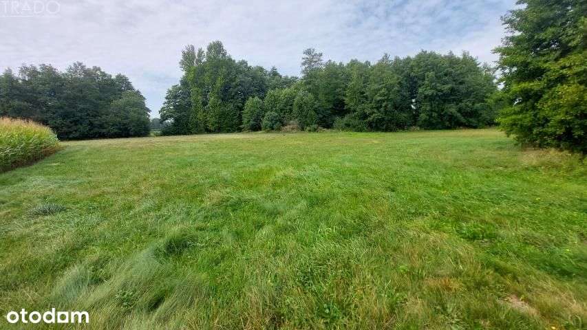 Gospodarstwo 6ha, Babiak, Krukowo-4