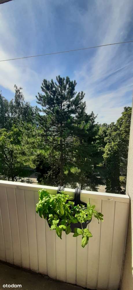 REZERWACJA Karolew. M-3 w niskim bloku, do własnej aranżacji-9