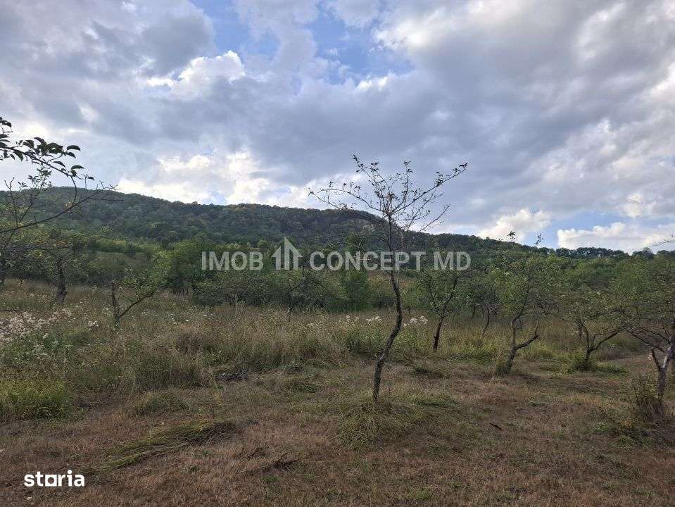 Teren spectaculos cu padure, livada si priveliste panoramica in Soimar-17