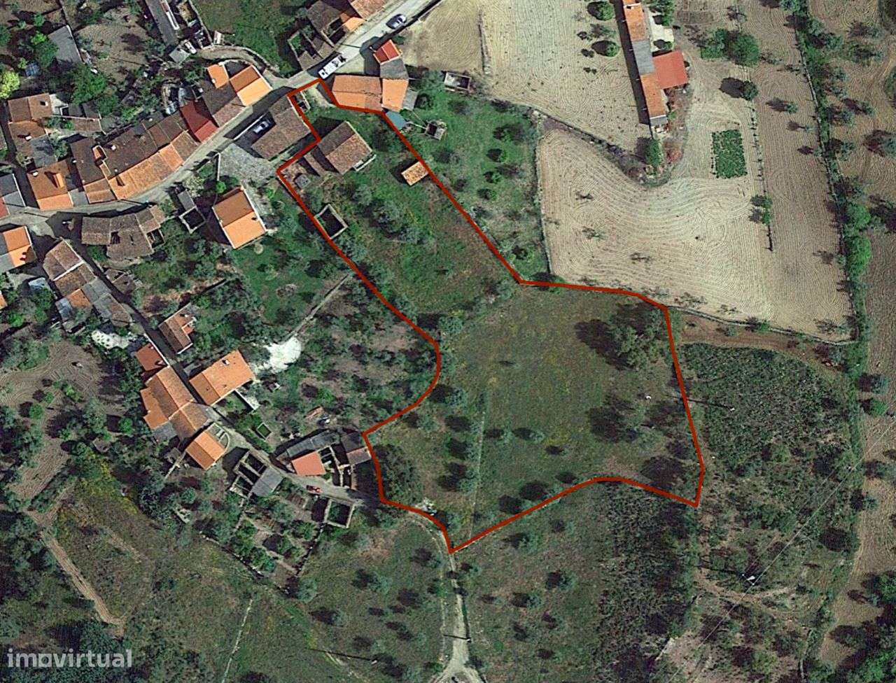 Quintinha com Casas em Xisto - Grande imagem: 4/24