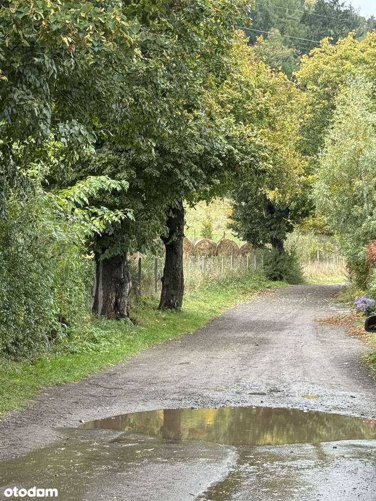 Przestronne mieszkanie z ogrodem i przepięknym widokiem na Dzikowiec-18