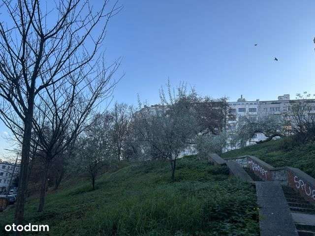 Ciche, Centrum, Powiśle, Bartoszewicza/Dynasy-10