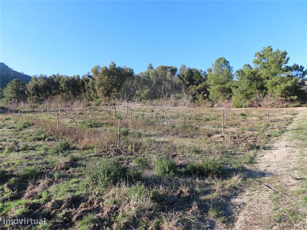 Quinta  para venda - Grande imagem: 5/49