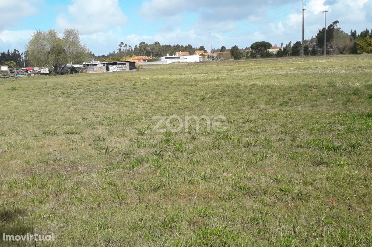 Terreno | Tocha | Oportunidade | Construção