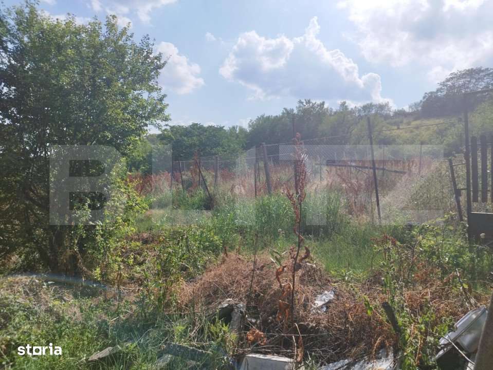 Teren, 3600mp, Drumul Vinului - Imagine principală: 2/7