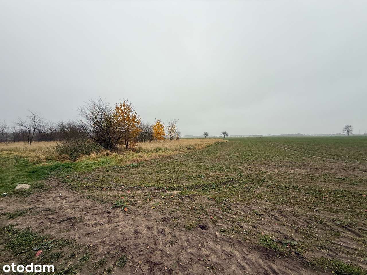 Grunt inwestycyjny, turystyka, sport i rekreacja, Batorowo-11