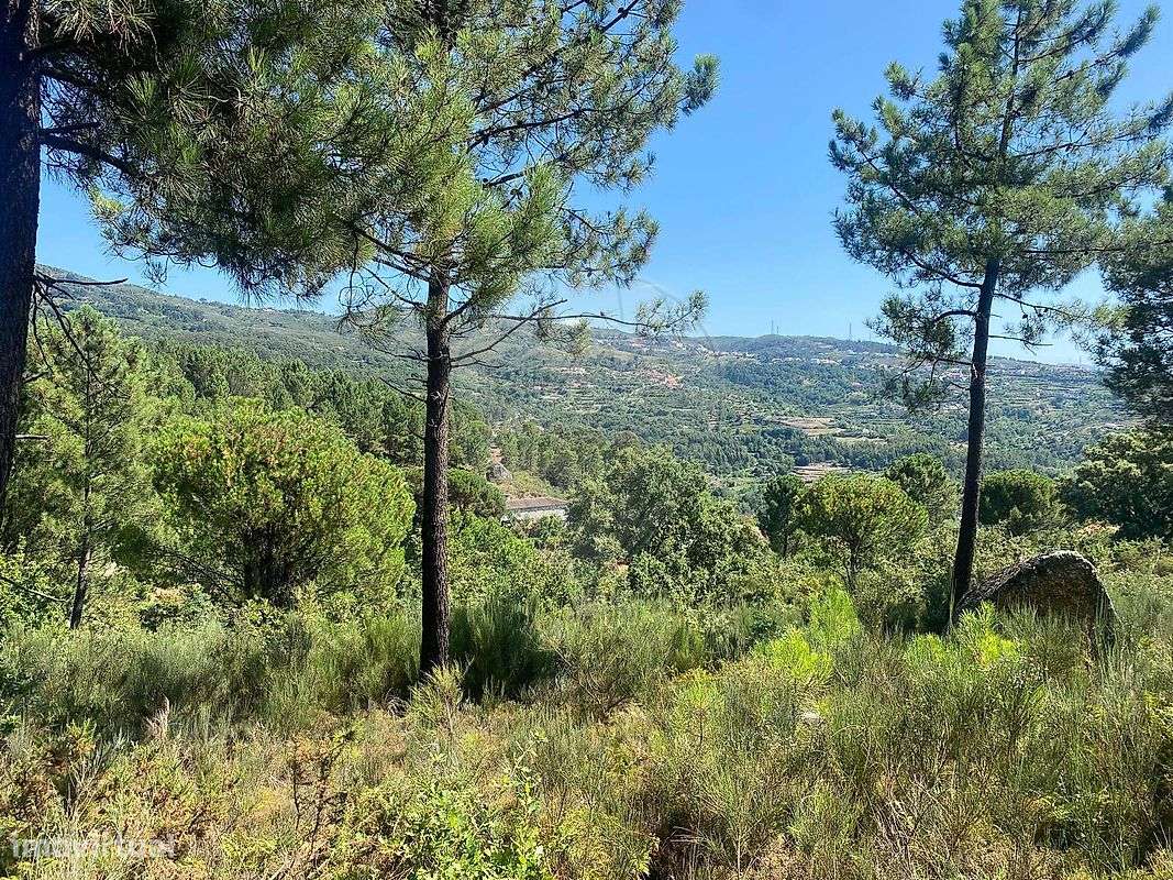 Terreno  para venda - Grande imagem: 5/19