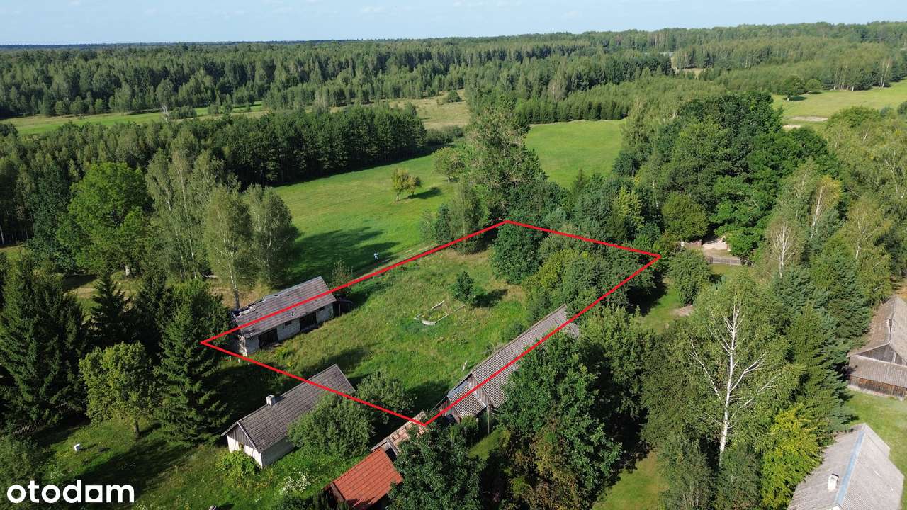 Stare Masiewo - 1840 m2 z budynkiem gospodarczym! PUSZCZA BIAŁOWIESKA! - Pełny obrazek: 1/18