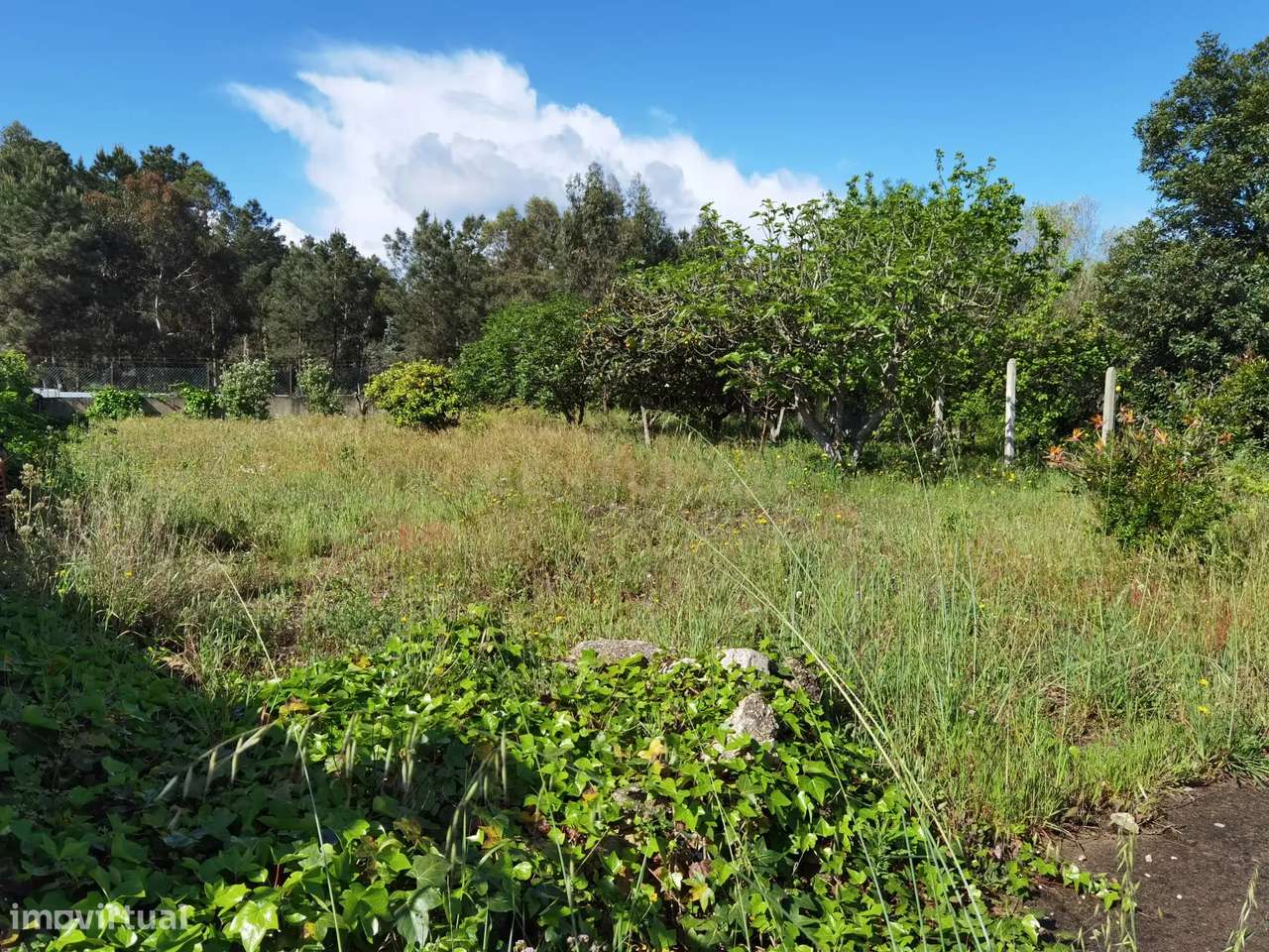 Terreno à venda em Fernão Ferro - Oportunidade única!-6