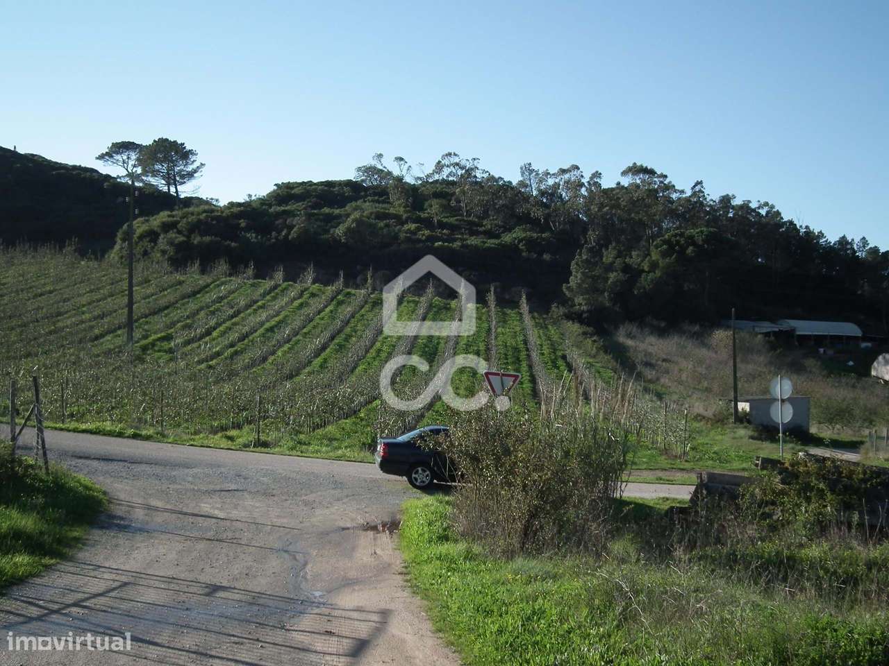 Terreno Rústico com 1240 m² - Grande imagem: 4/16