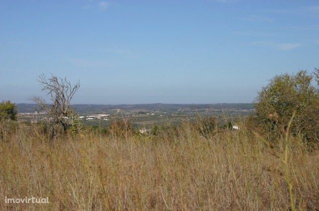 LOTE DE TERRENO NA PRAIA DA LUZ