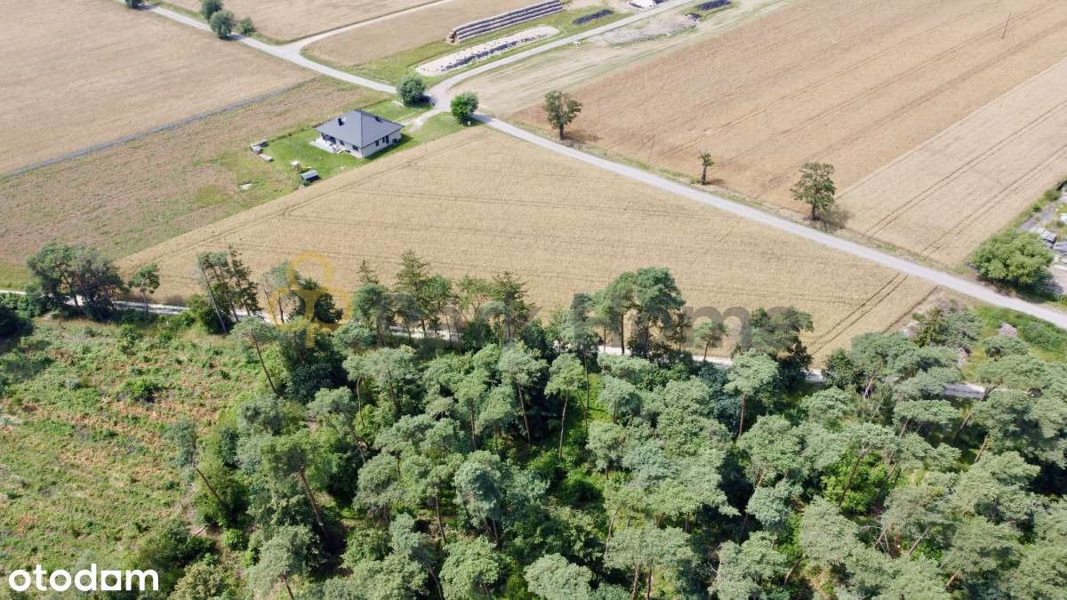 Atrakcyjne działki przy lesie | blisko Poznania | - Pełny obrazek: 4/6