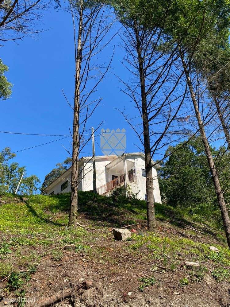 Quinta de Paço de Sousa – Tradição, Natureza e Potencial em Harmo-12