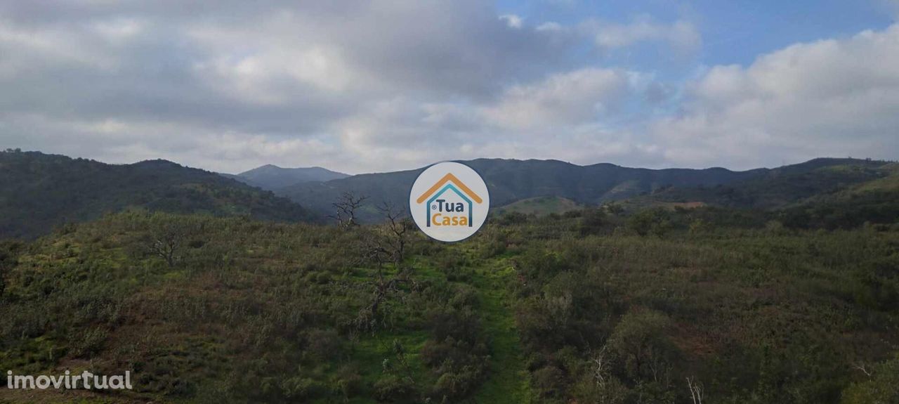 Terreno Rústico na Serra de Santa da Fonte de Bispo