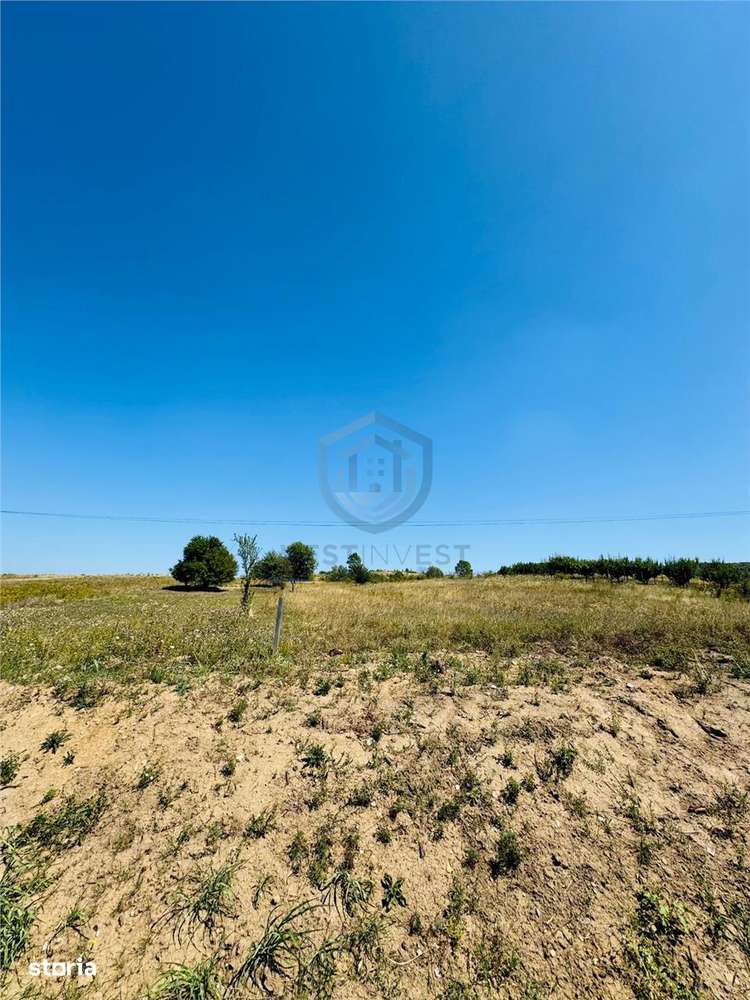 Teren Intravilan Baile Felix cu acces din E79 - Imagine principală: 3/3