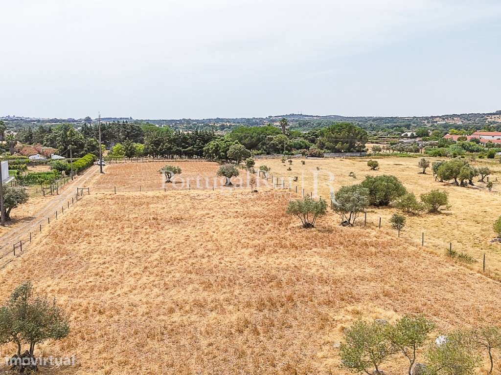 Encantadora quintinha alentejana-17