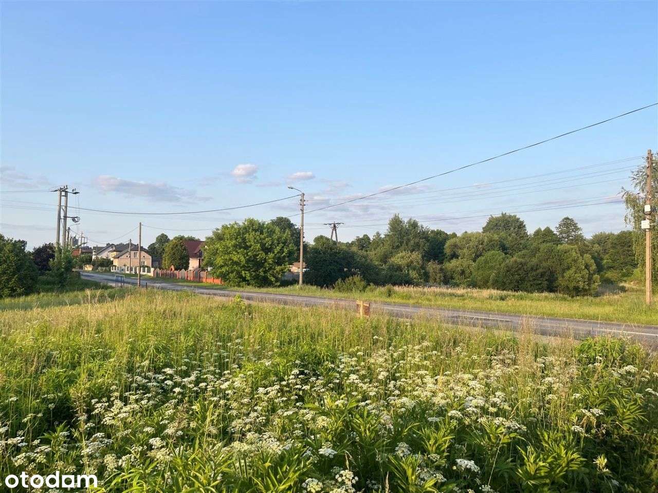 Działka, 3 797 m², Leśniaki - Pełny obrazek: 5/6