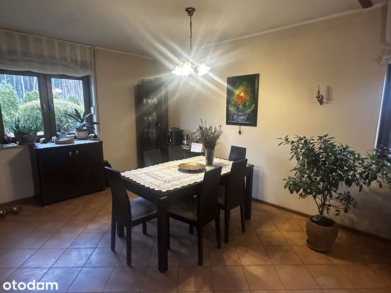 Dzikowo - dom wolnostojący na sprzedaż-16