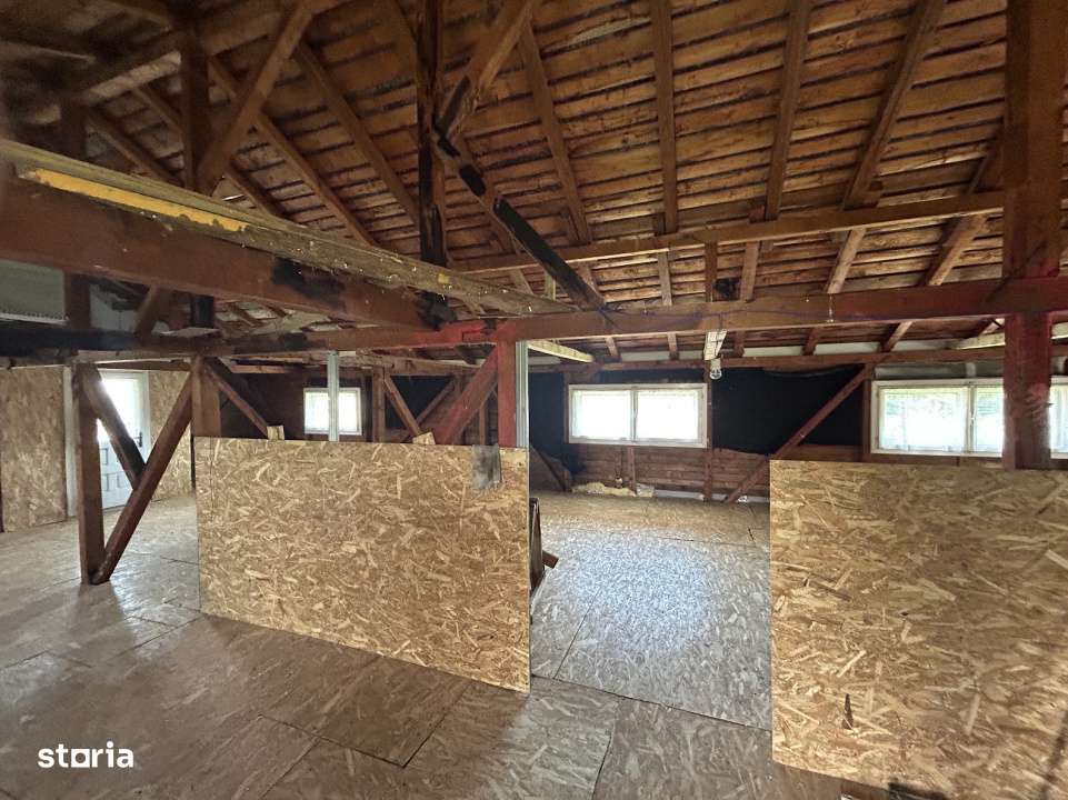 VAND O VILA IN PADUREA DIN FILIPESTI-17